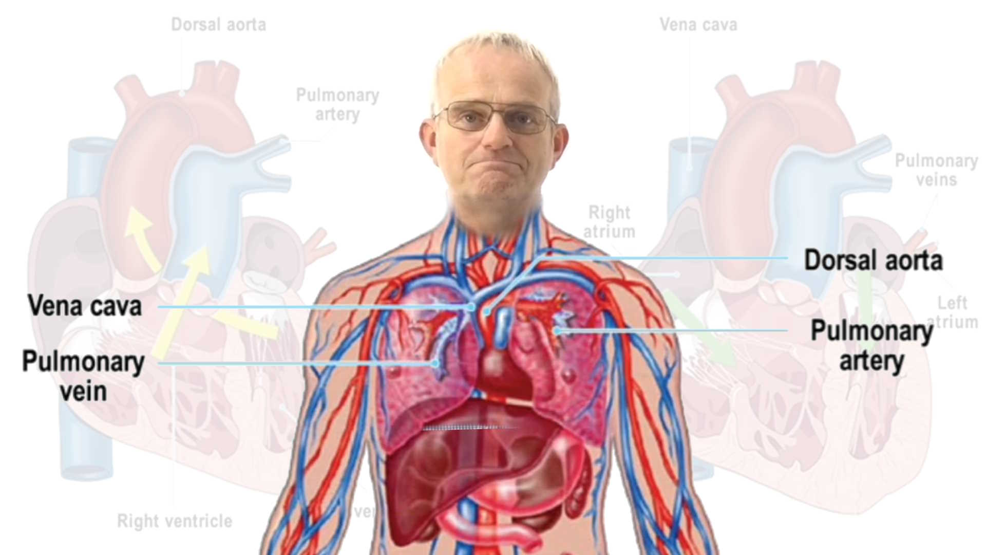 CBT Lesson #03 - Circulation - Bristol Groundschool